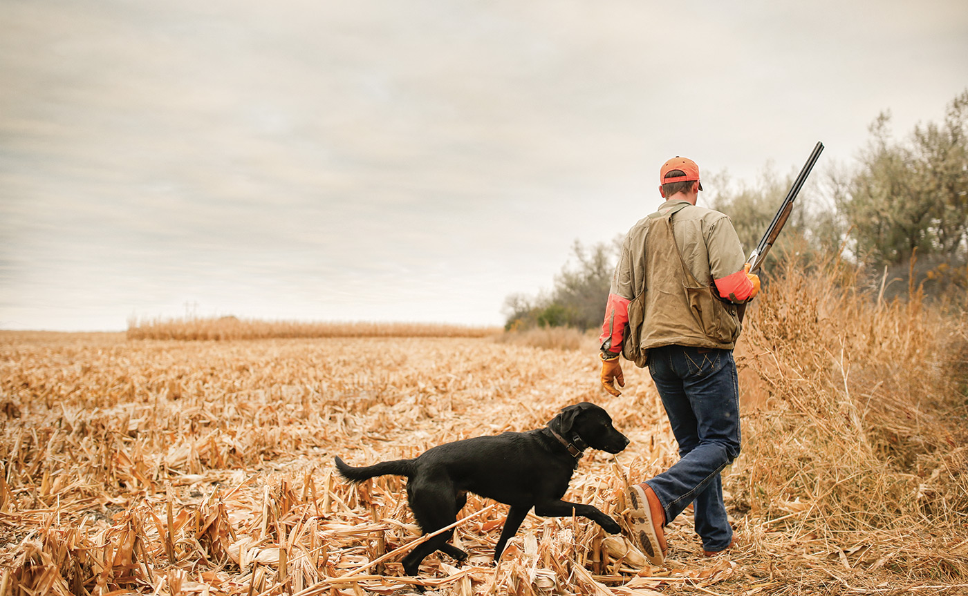 Pheasant boot care article