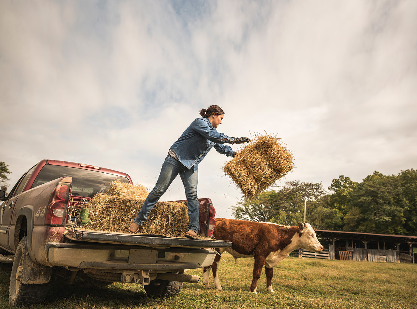 Farmer Unloading Hay from Truck