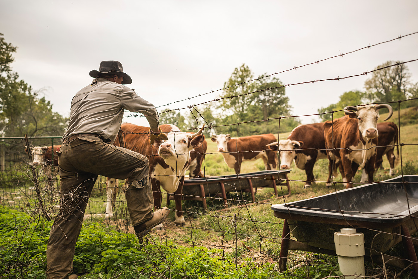 Farmer boots article