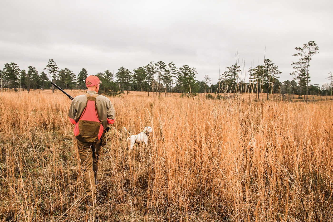 Hunter with Dog in the Field